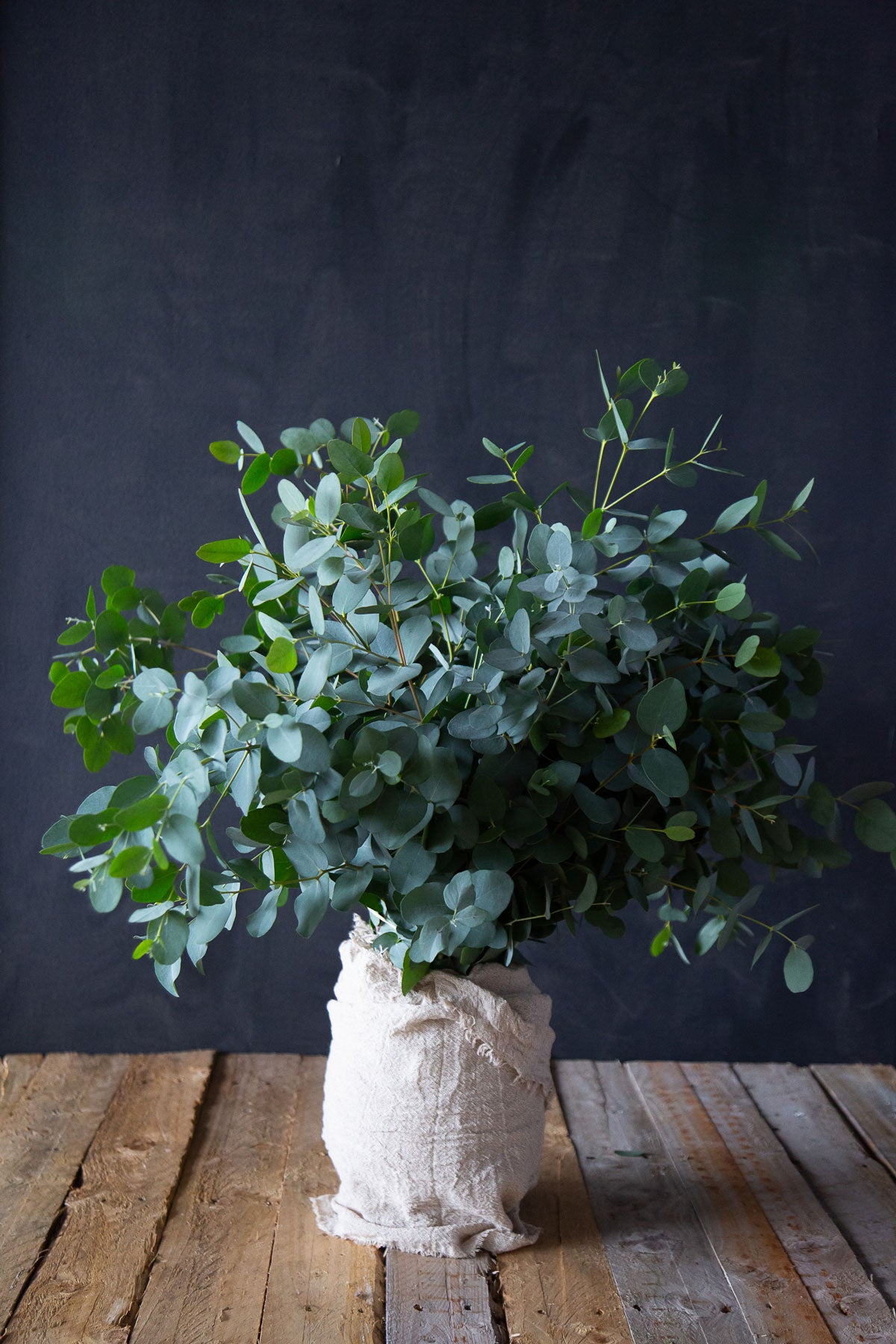 Gunni Eucalyptus
