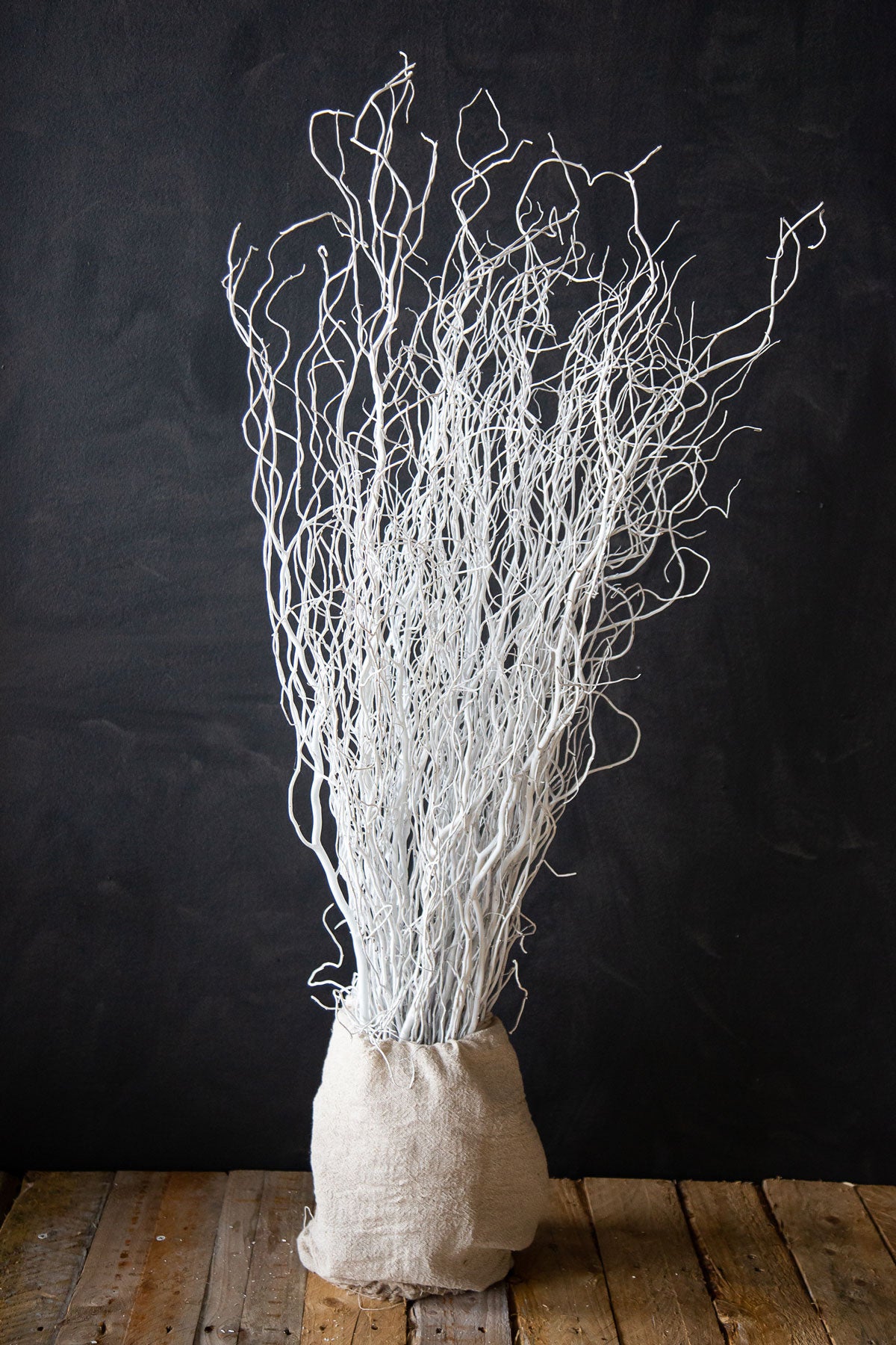 Coloured Willow - Long