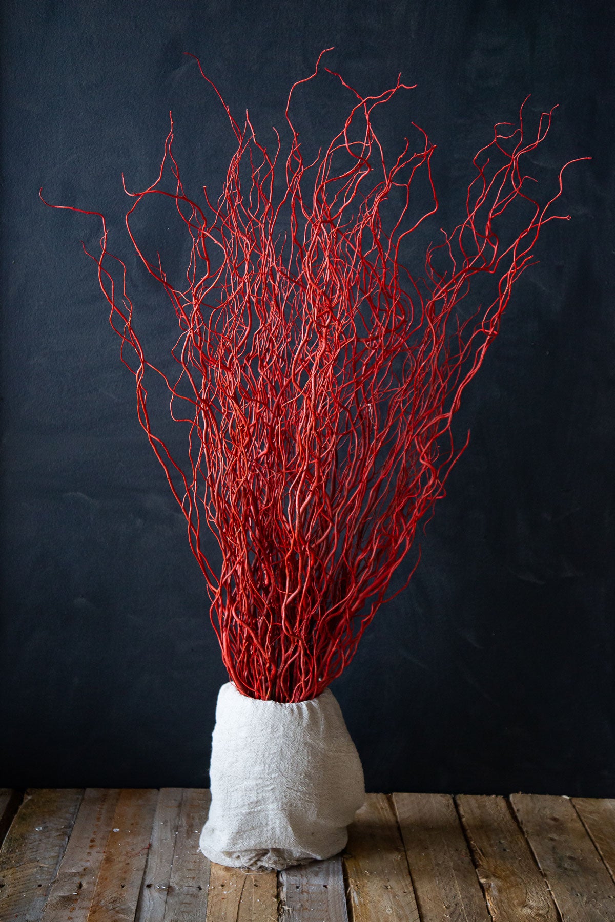 Coloured Willow - Long