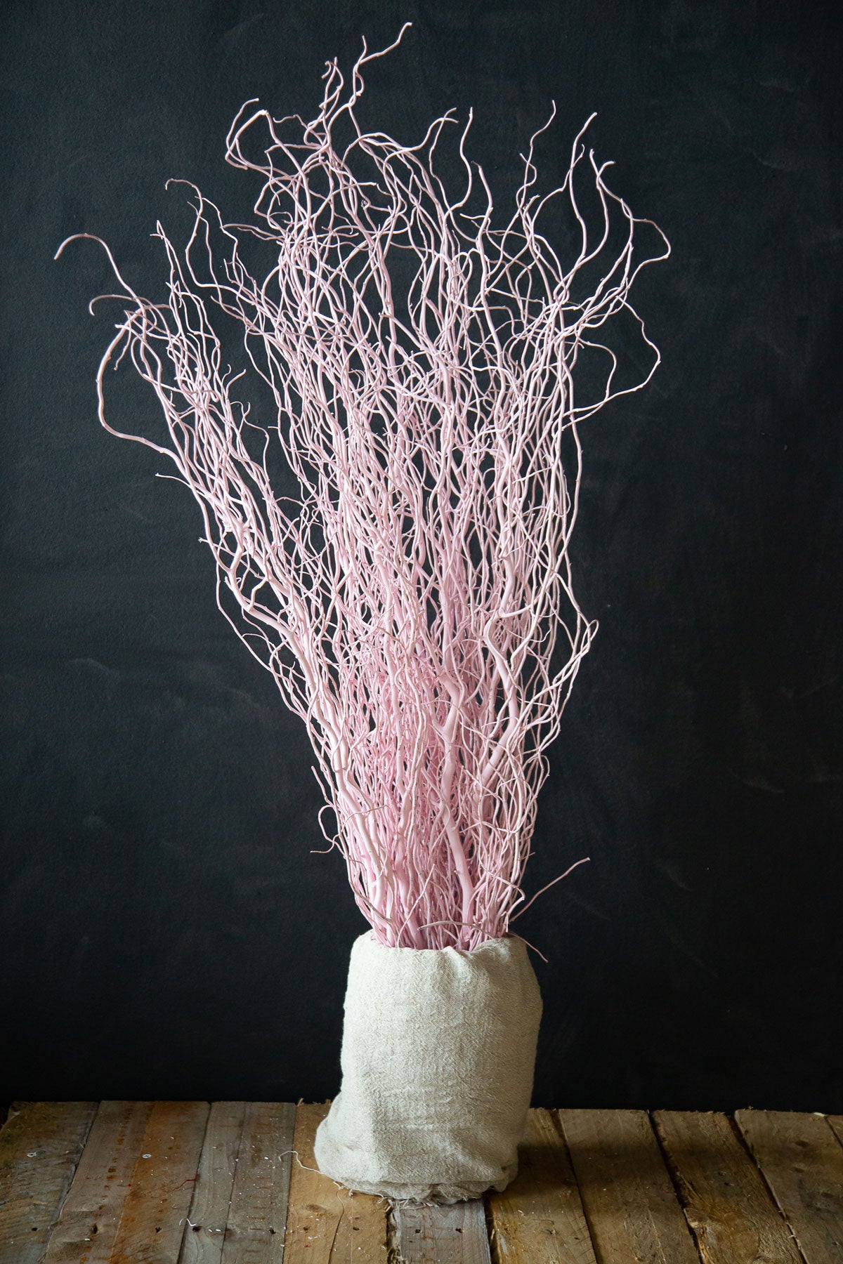 Coloured Willow - Long