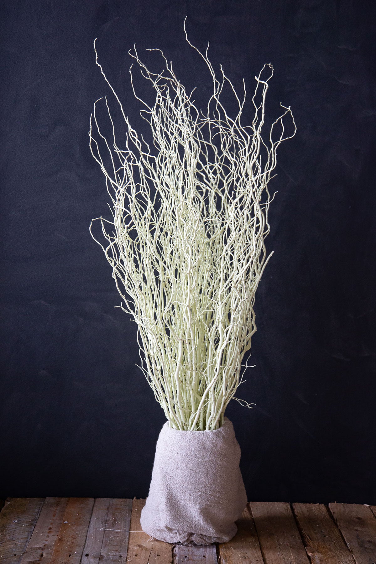 Coloured Willow - Long