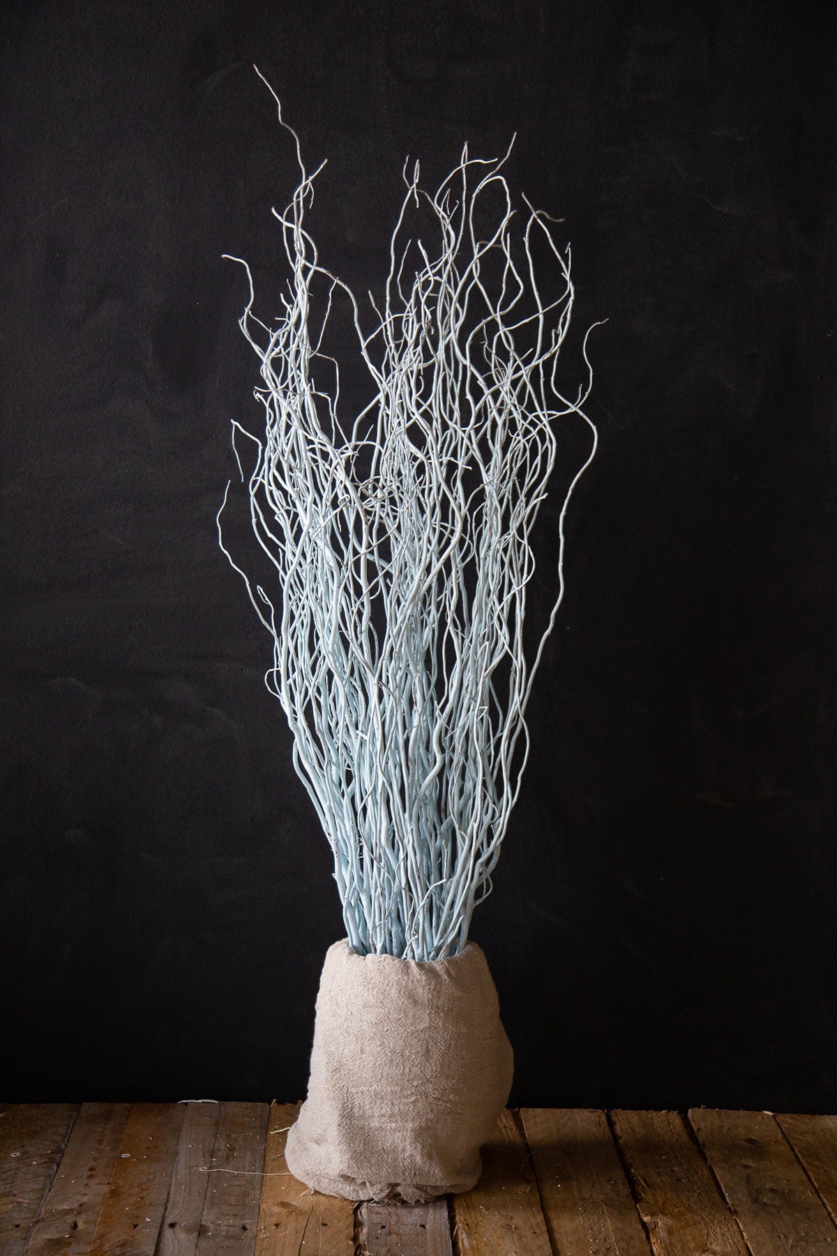 Coloured Willow - Long