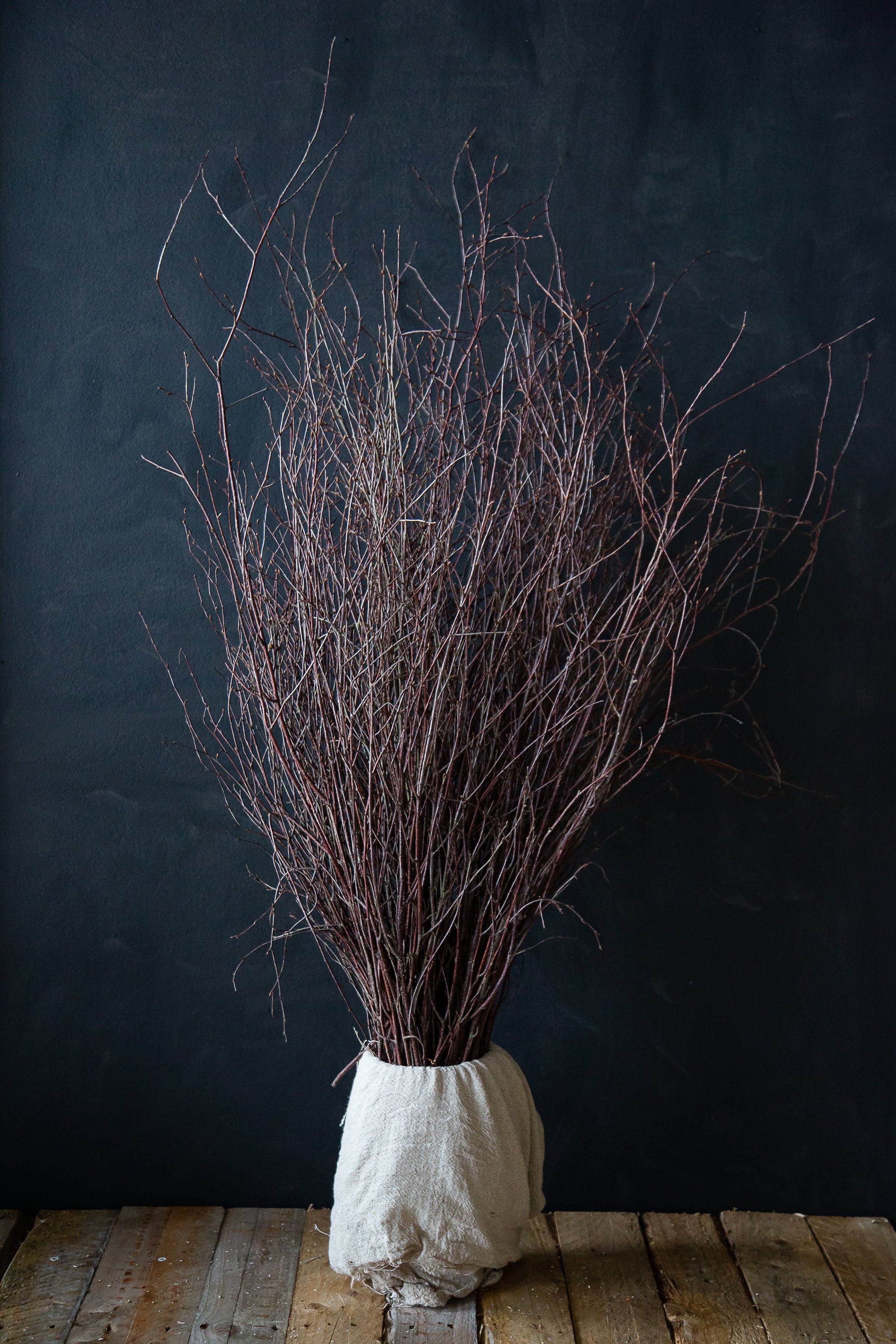 Natural Willow Short