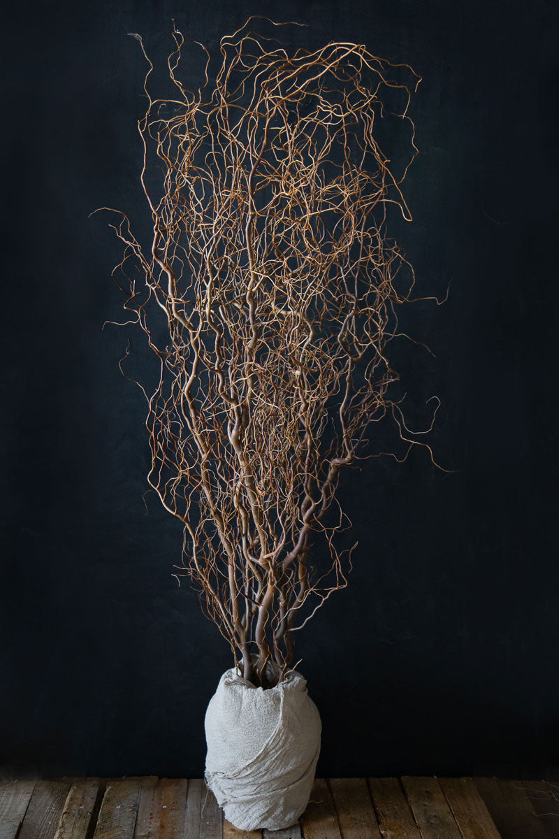 Natural Willow Long