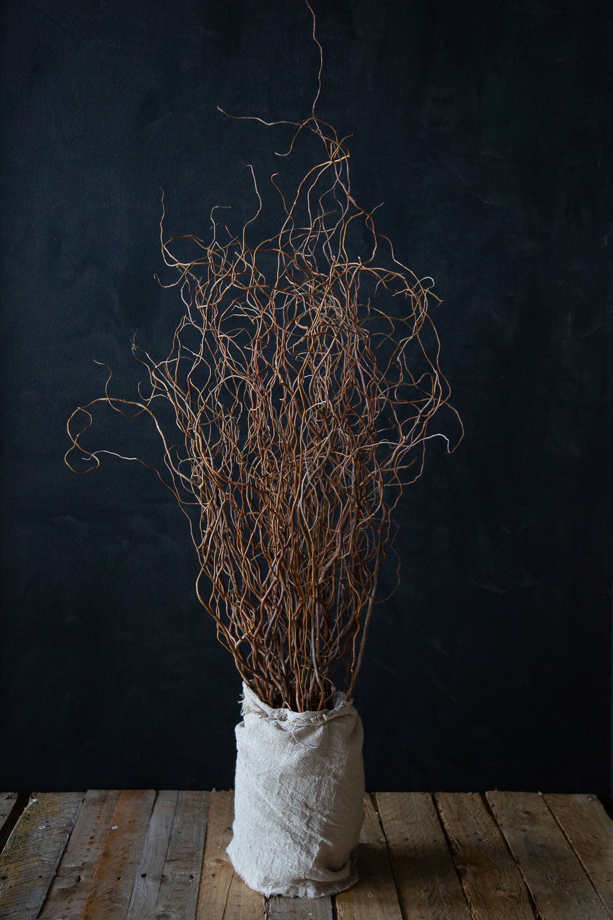 Birch