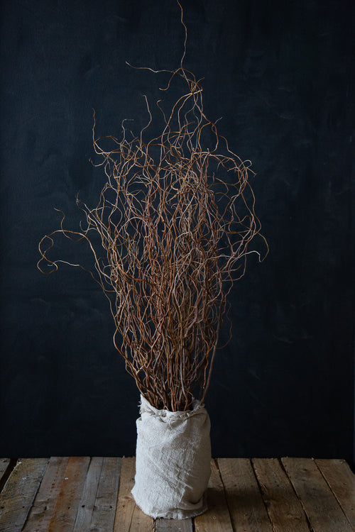 Birch