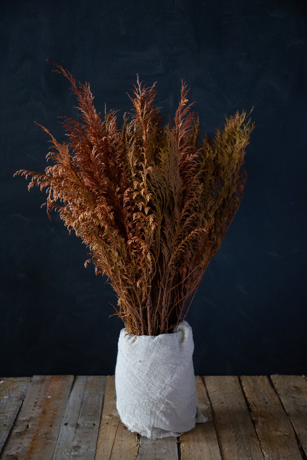 Dried Cypress