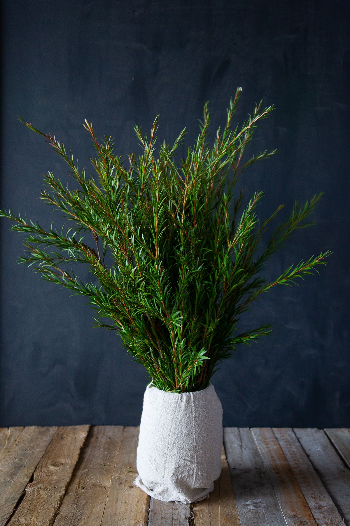 Bottle Brush