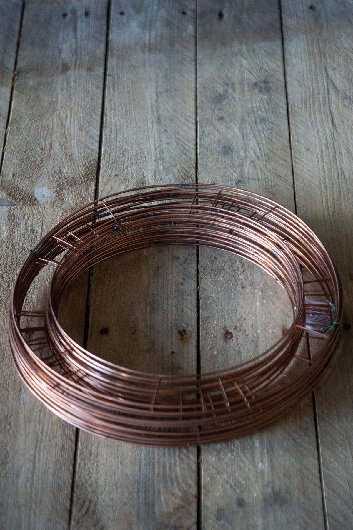 Double Ring wires