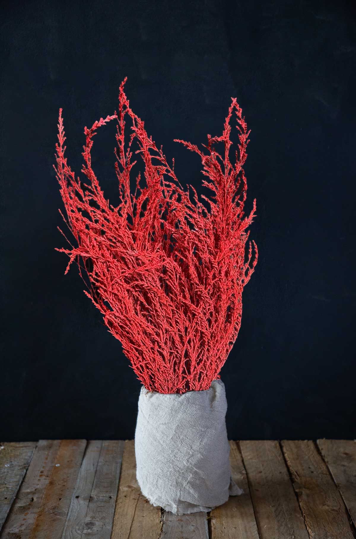 Red Sussex Silver
